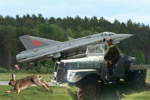 Tord jagar hare